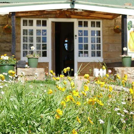 Peerboom Guesthouse เฟอรีส์เบิร์ก ภายนอก รูปภาพ
